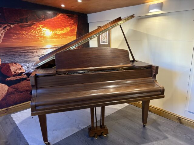 Challen baby grand