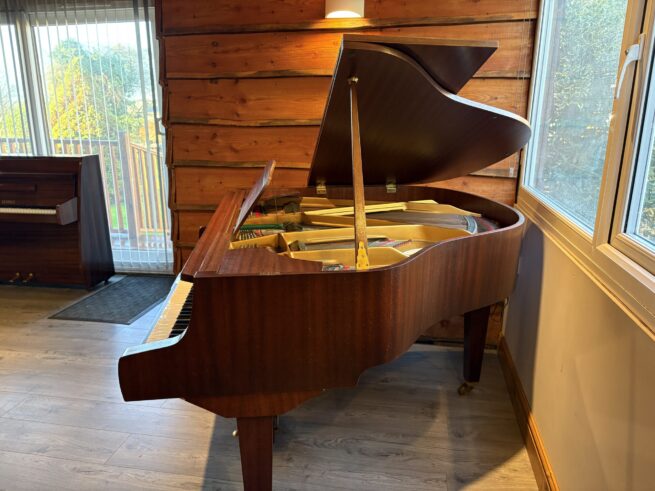 Hupfield baby grand