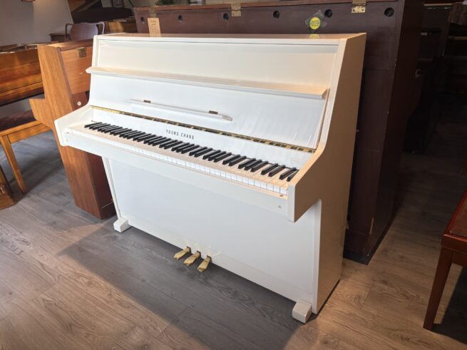 White young Chang piano