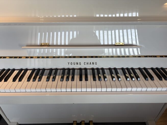 White young Chang piano