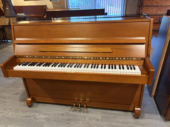 Waldstein piano